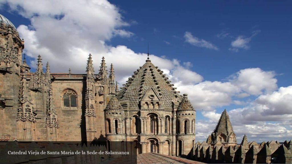 Catedral Vieja de Santa Maria de la Sede de Salamanca - Salamanca (Castilla y León)