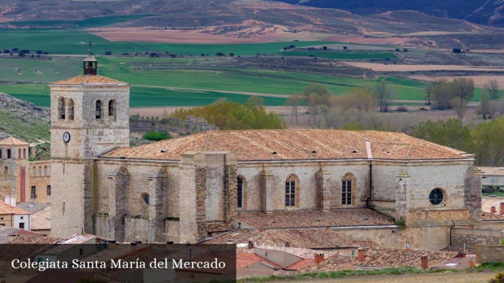 Colegiata Santa María del Mercado - Berlanga de Duero (Castilla y León)